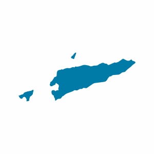 Do�u Timor Vizesi